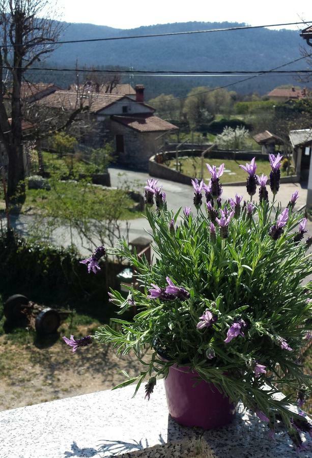 Moonflower Pliskovica Exterior foto