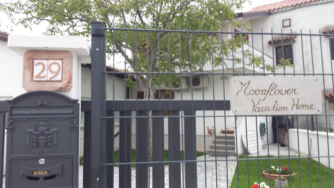 Moonflower Pliskovica Exterior foto